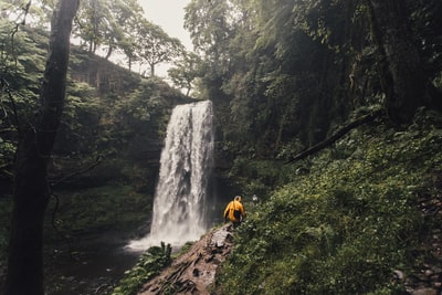在树环绕的瀑布边散步的人